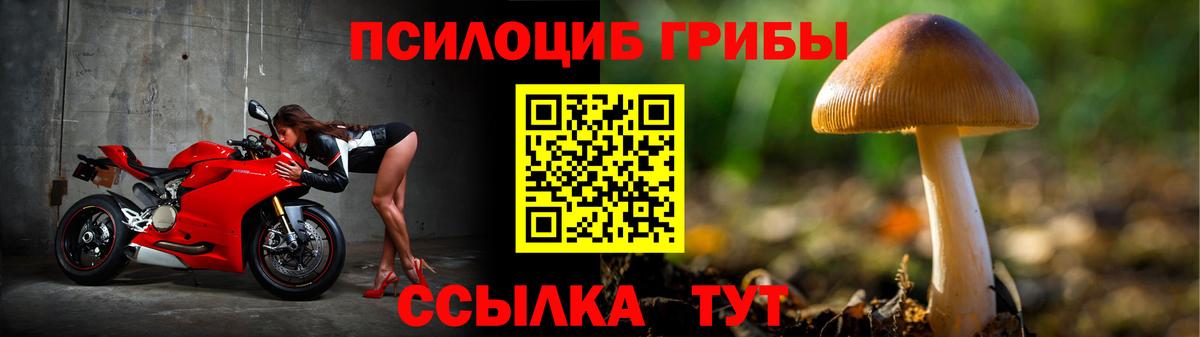 Псилоцибиновые грибы мицелий  Вход с VPN  Чебаркуль 